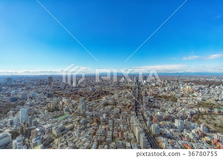 從東京市視圖的白天視圖 36780755