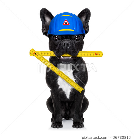 handyman hammer dog handyman hammer dog 36780813