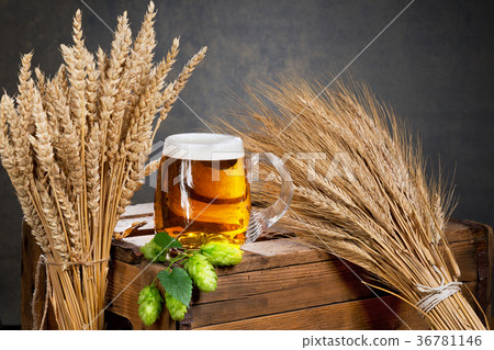 glass of beer and raw material for beer production 36781146