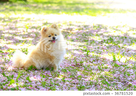 Take a break♪ 36781520