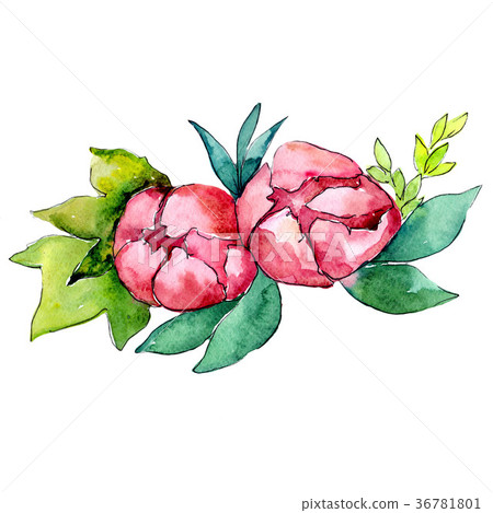Flower composition in a watercolor style isolated. 36781801