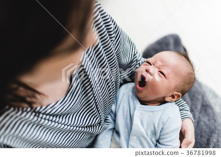 baby   36781998