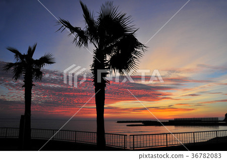 West coast dyed in the setting sun 36782083