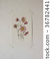 Wild flower painted with watercolor, paintbrush 36782441