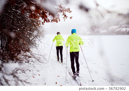 Senior couple cross-country skiing. 36782902