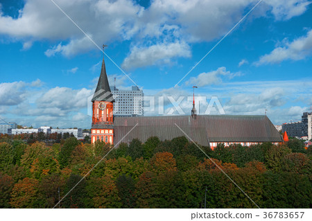 Cityscape of Kaliningrad, Russia, Europe 36783657
