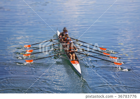 Team of rowing Four-oar women in boat 36783776