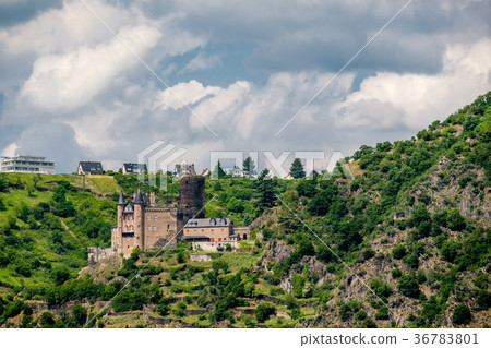 Katz Castle at Rhine Valley  36783801