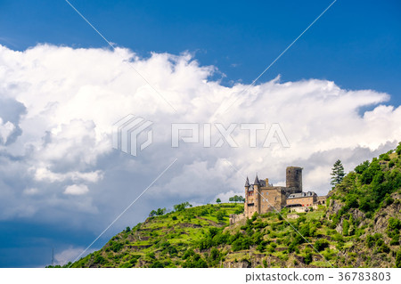 Katz Castle at Rhine Valley 36783803