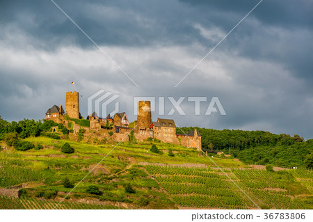 Thurant Castle and vineyards above Moselle river Thurant Castle and vineyards above Moselle river 36783806