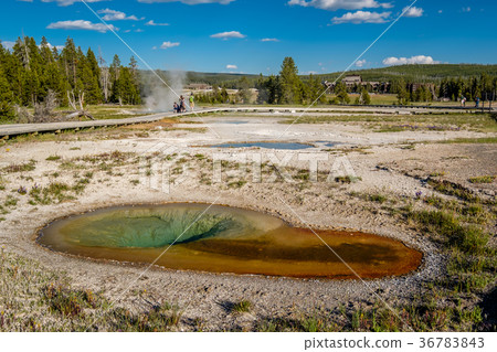Boardwalk in Yellowstone National Park 36783843