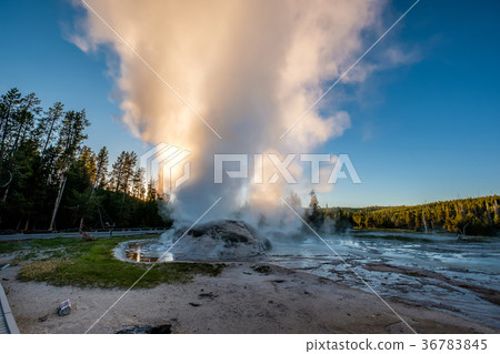Grotto Geyser in Yellowstone National Park 36783845