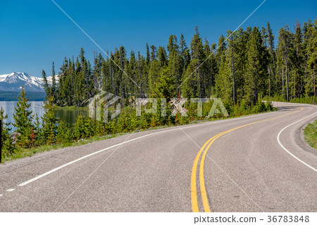 Highway by the lake in Yellowstone Highway by the lake in Yellowstone 36783848