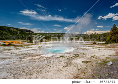 Hot thermal spring in Yellowstone 36783853