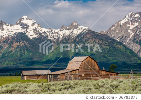 Old barn in Grand Teton Mountains Old barn in Grand Teton Mountains 36783873