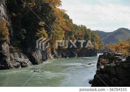 Autumn leaves of Chichibu red wall of Nagasu 36784535