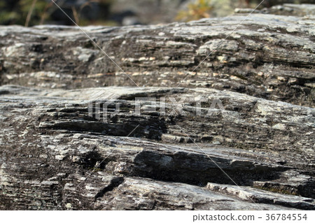 Nagatoro's rock formations 36784554