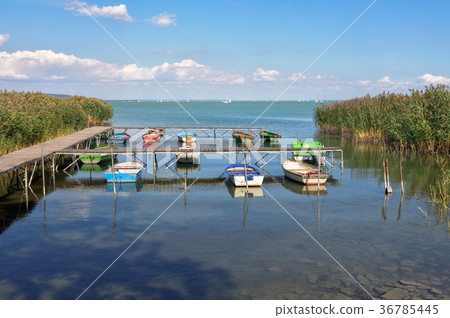 Boats - Tihany Boats - Tihany 36785445