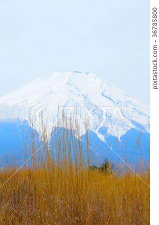 Mount Fuji (North Fuji Exercise Area / Fujiyoshida City Yamanashi Prefecture · Yamanakako Village · Oshino Village) 36785800