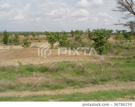 荒野/土地（曼德勒 - 蒲甘/緬甸） 36786259