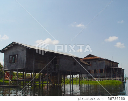 湖濱定居點（茵萊湖/緬甸） 36786260