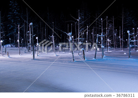 Lighted-up winter lake Biei-cho 36786311