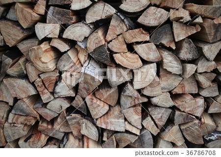 Firewood texture background Firewood texture background 36786708