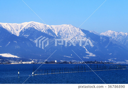 琵琶湖的冬季景象 琵琶湖的冬季景象 36786890