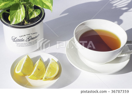 茶和檸檬 36787359
