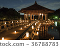 ukimido temple, nara park, night scape 36788783