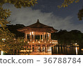 ukimido temple, nara park, night scape 36788784