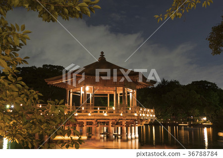 ukimido temple, nara park, night scape 36788784