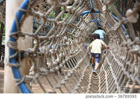 Brothers playing in the park 36789393