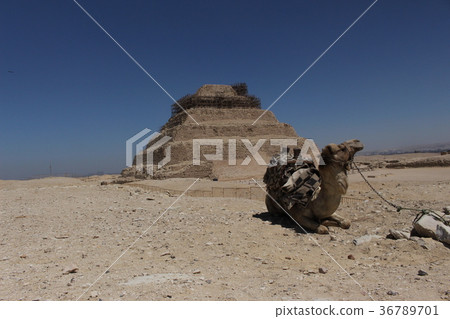 金字塔很容易 36789701