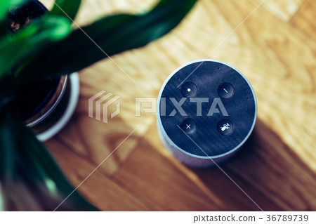 Smart speaker 36789739