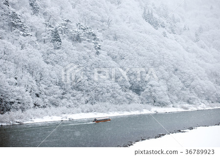 Mogami River Snow Scene Yamagata Prefecture 36789923