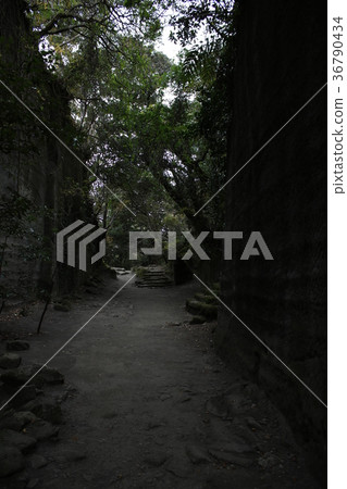 Zokoyama地獄偷看 Zokoyama地獄偷看 36790434