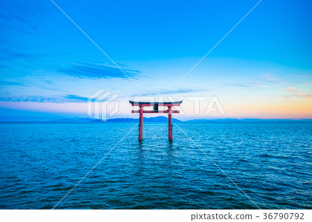 鳥居和琵琶湖日本滋賀縣 36790792