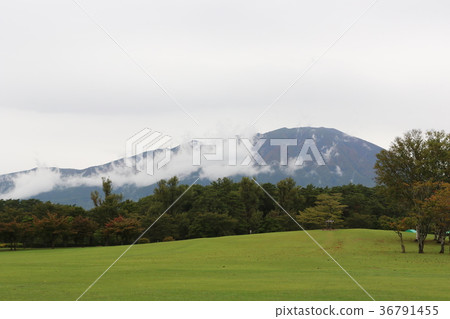 Koiwai農場 36791455