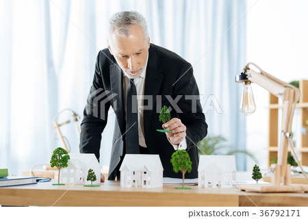 Calm real estate agent adding trees to his Calm real estate agent adding trees to his 36792171