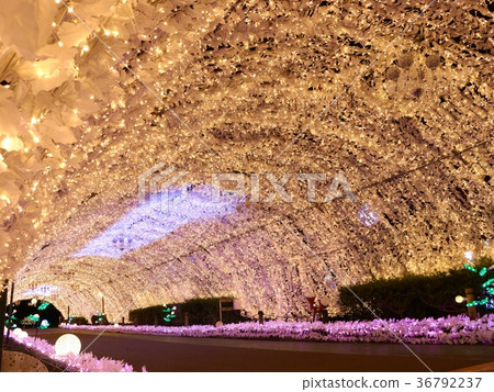 2017 Gotenba Tokinozu Illumination 36792237