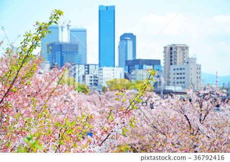 大阪天滿橋的風景 36792416
