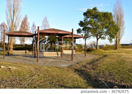 Rest area by Lake Biwa 36792675
