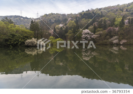 規模景觀 規模景觀 36793354