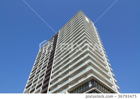 Tower Mansion 36793475