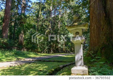 Hiraizumi Temple Hakusan Shrine grounds scenery 36793502