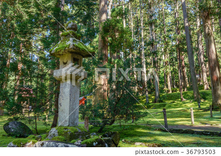 Hiraizumi Temple Hakusan Shrine grounds scenery 36793503