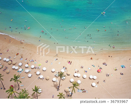 夏威夷的藍色海水和海灘(希爾頓夏威夷村景觀) 夏威夷的藍色海水和海灘(希爾頓夏威夷村景觀) 36793967