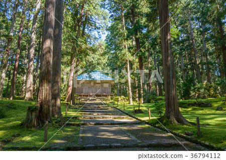Hiraizumi Temple Hakusan Shrine grounds scenery 36794112