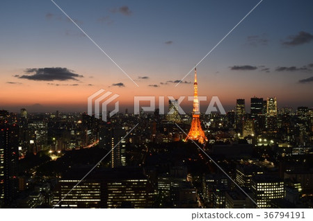 東京的夜景 36794191